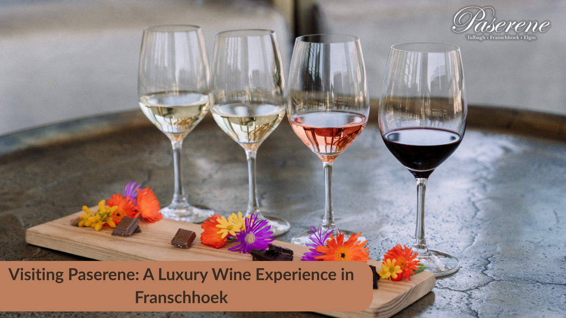 Visitng Paserene: A Luxury Experience in Franschhoek, variety of wines on a plate