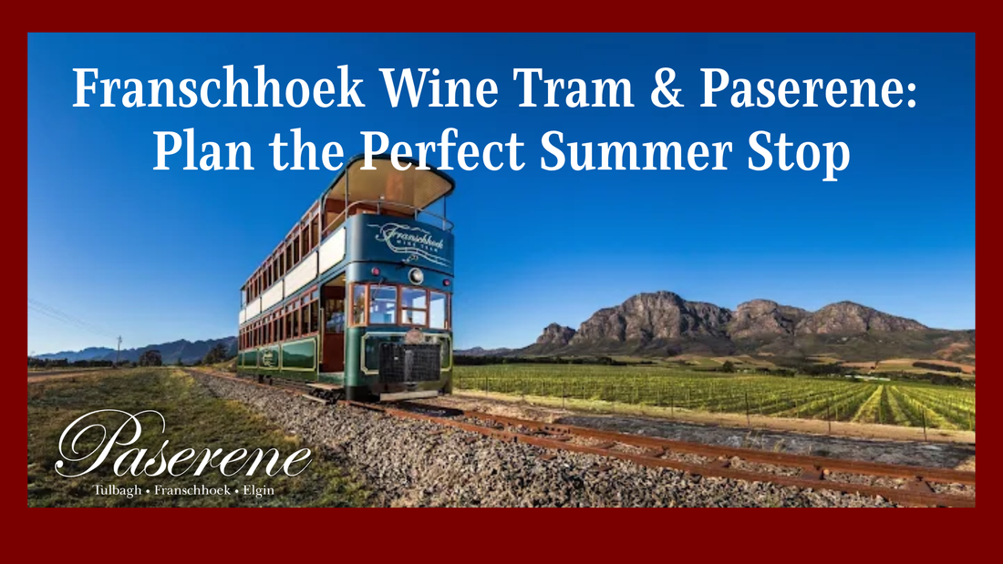 Franschhoek Wine Tram & Paserene: Plan the Perfect Summer Stop, wine tram in Franschhoek