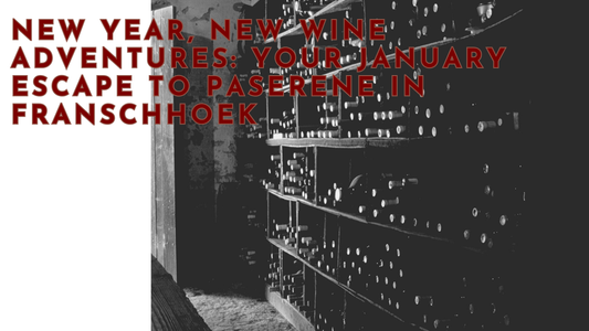 New Year, New Wine Adventures: Your January Escape to Paserene in Franschhoek, shelf filled with wine bottles
