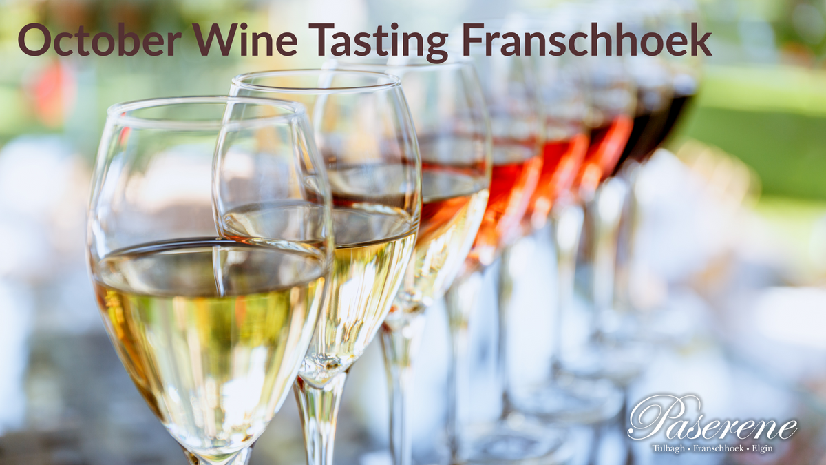 October WIne Tasting Franschhoek, variety of wines