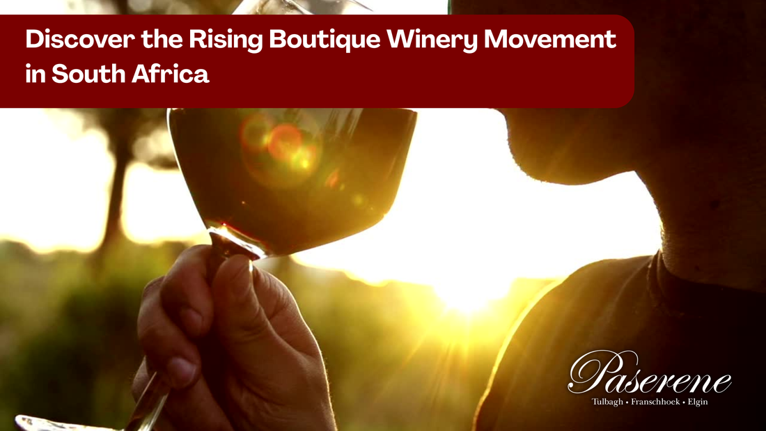 Discover the Rising Boutique Winery Movement in South Africa, person drinking wine in front of sunset