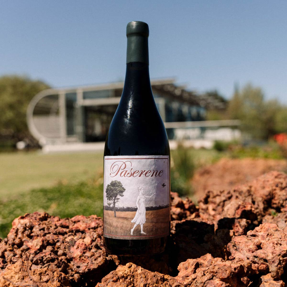Paserene Union 2020 Syrah